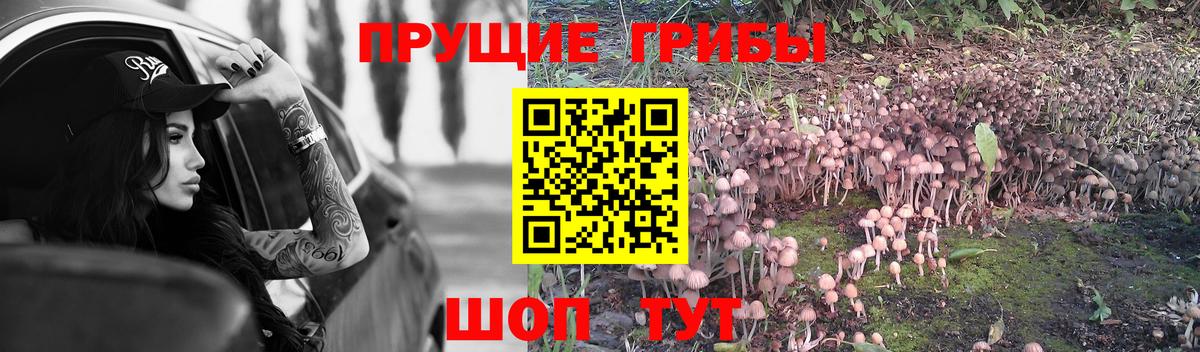 Псилоцибиновые грибы Magic Shrooms Россия